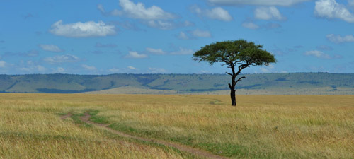 Camping in Masai Mara National Park